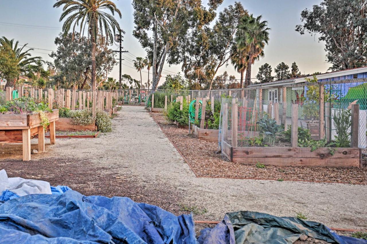 Quaint La Mesa Home With Beautiful Sunsets! Екстер'єр фото